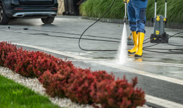 Best Roof Pressure Washing  in San Buenaventura, CA