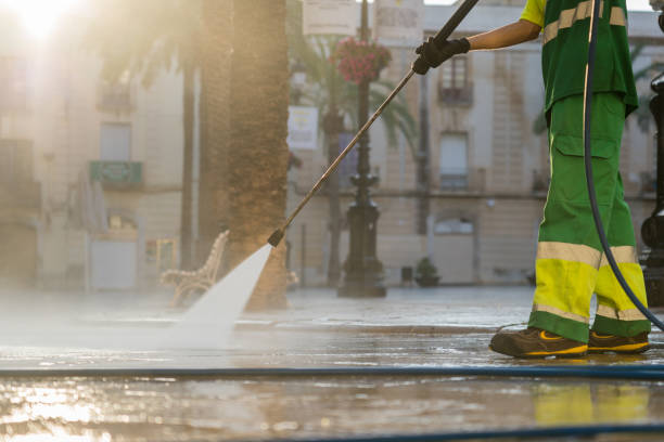 Best Roof Pressure Washing  in San Buenaventura, CA