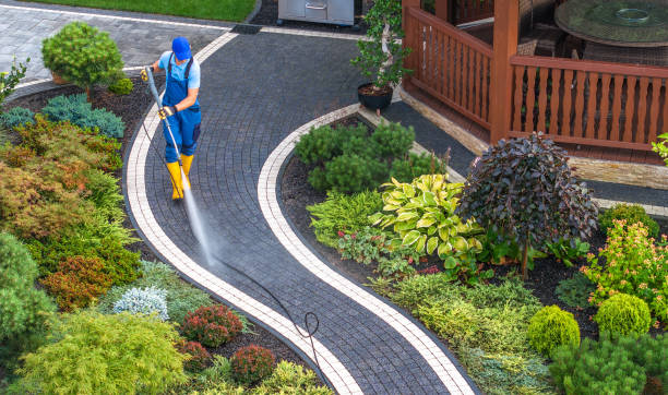 Best House Pressure Washing  in San Buenaventura, CA
